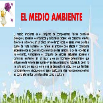 El medio ambiente