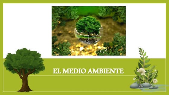 exposición sobre el medio ambiente | PDF