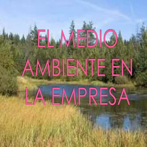 El medio ambiente en la empresa | PPTX
