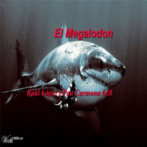 El megalodon