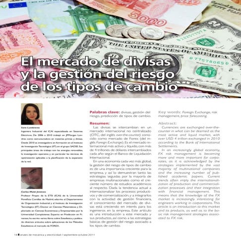 El mercado de divisas y la gestion de riesgo de los tc | PDF