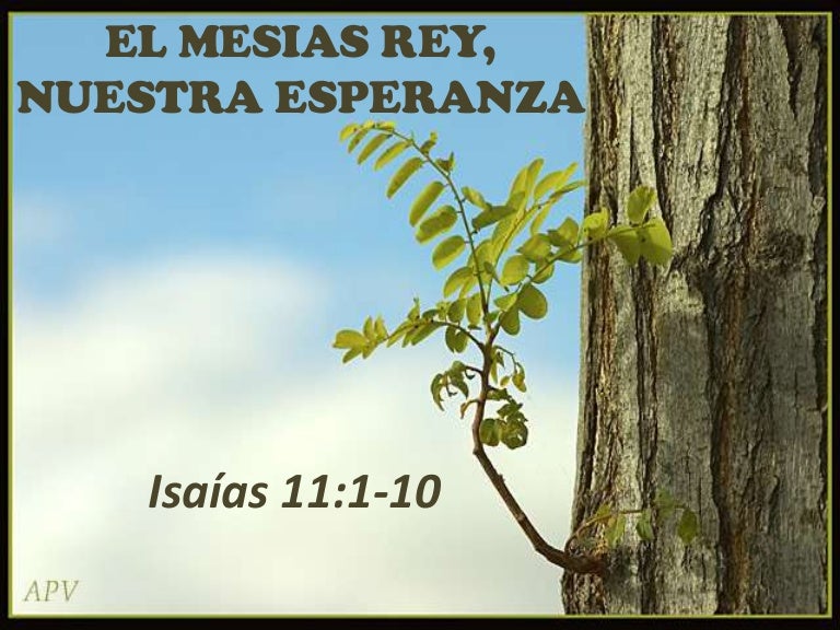 El mesias nuestra esperanza