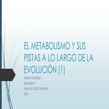 El metabolismo y sus pistas a lo largo