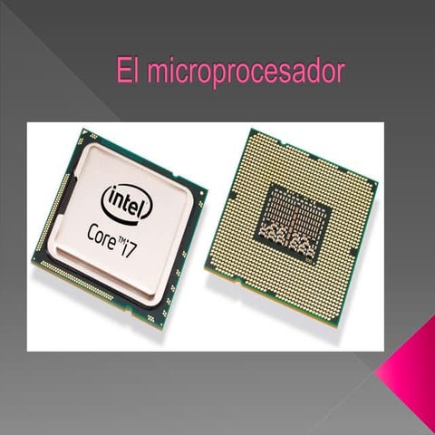 El microprocesador. florencia