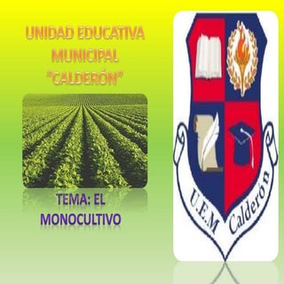 EL MONOCULTIVO 