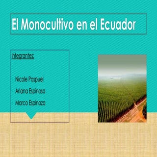  Monocultivo en el ecuador
