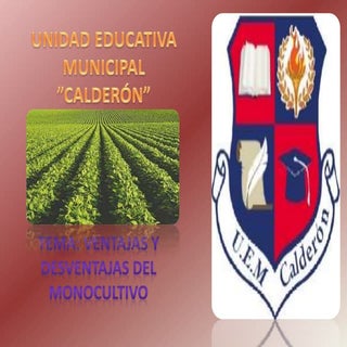 EL MONOCULTIVO VENTAJAS Y DESVENTAJAS 