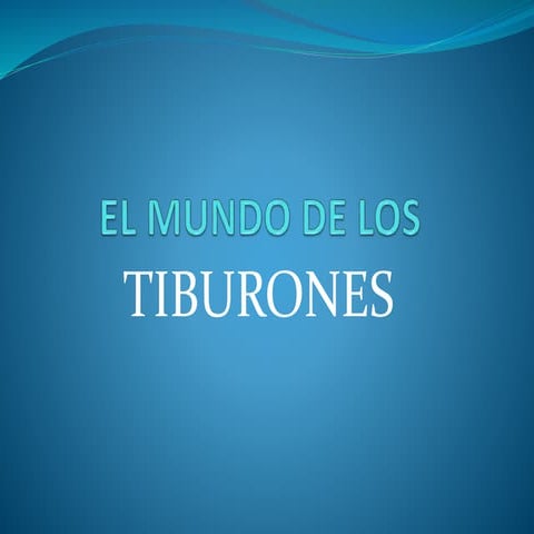El mundo de los tiburones