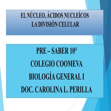 El núcleo, ácidos nucleícos bio grado 10