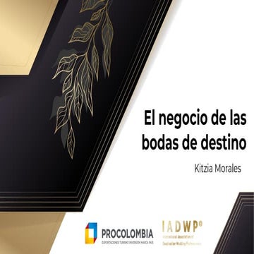 El negocio de las bodas destino .pdf