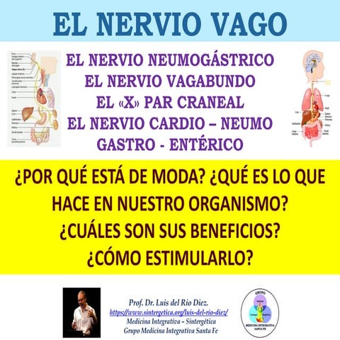 EL NERVIO VAGO. POR QUE ESTA DE MODA