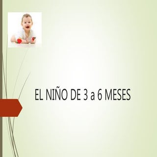 El niño de 3 a 6 meses