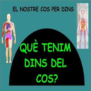 El nostre cos per dins