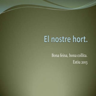L'hort de la residència 