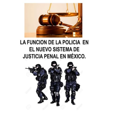 La función de la policía en el nuevo sistema de justicia penal ...