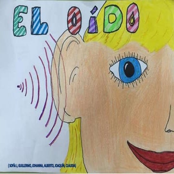 El oído