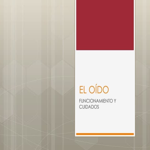 El oído (2)