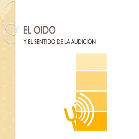 el oido 