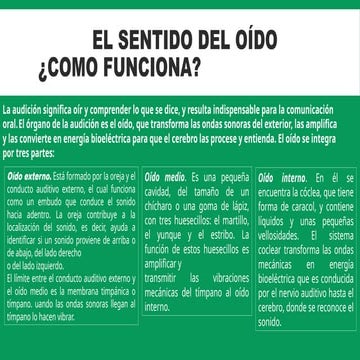 el oído y su funcionamiento desde el hambito escolar