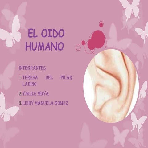 El oido humano
