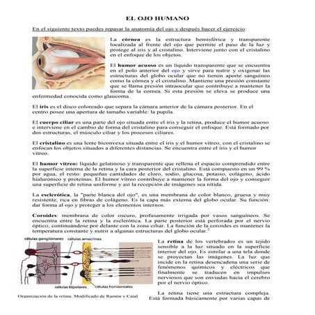 El ojo humano