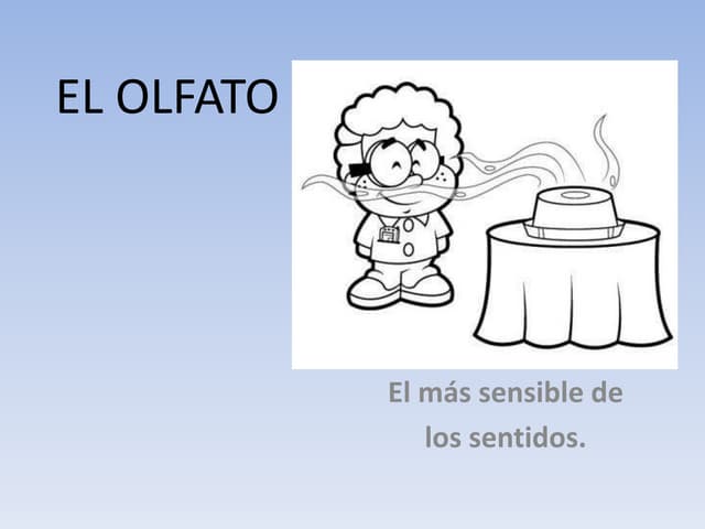 El olfato trabajo 