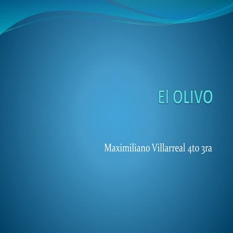El olivo 2.0