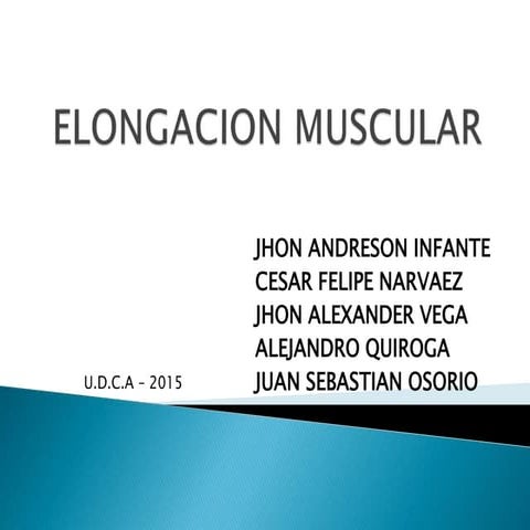 Elongacion muscular