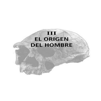 El origen