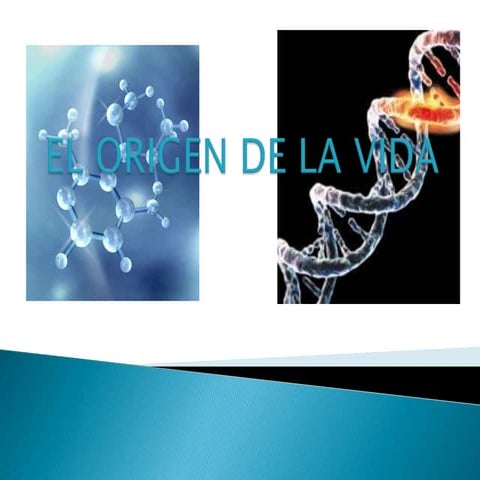 El origen de la vida