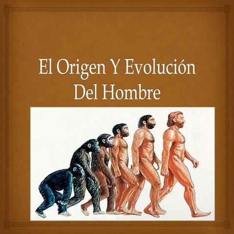 El origen y evolución del hombre final
