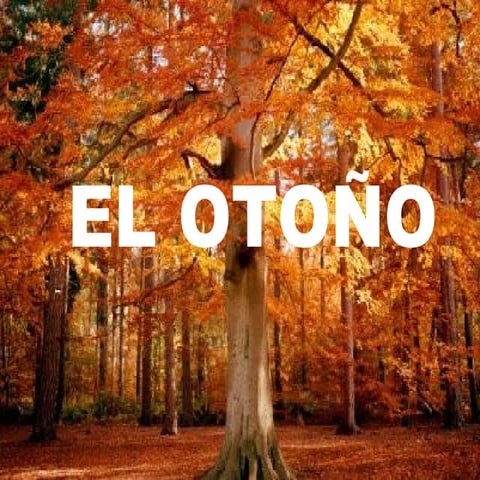 El otoño ainho