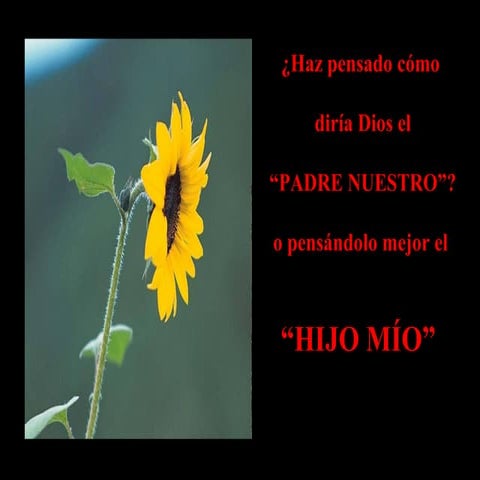 El Padre Nuestro dicho por Dios