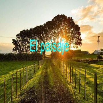 El paisaje