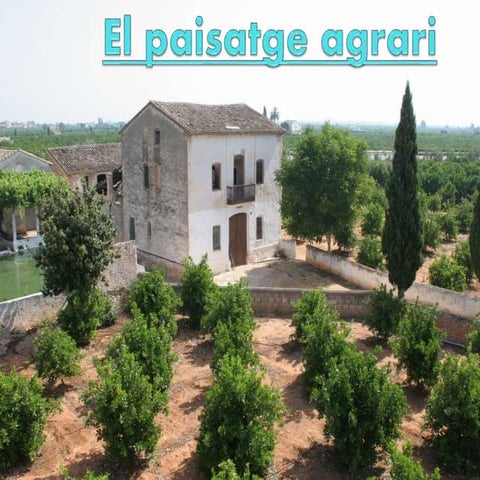 El paisatge agrari