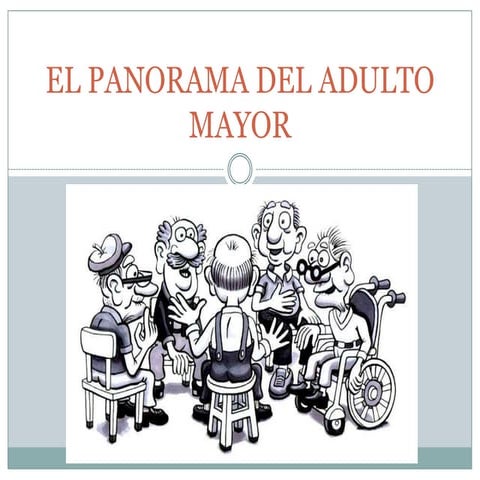 El panorama del adulto mayor