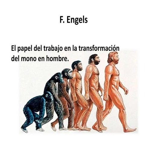 El papel del proceso de la transaformación del mono al hombre (F ...