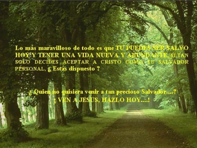 El pecado (2)