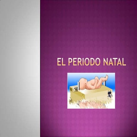 El periodo natal