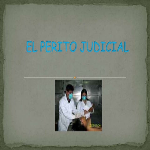 Perito Judicial: Qué Es, Tipos, Funciones Y Honorarios – EXFNKL