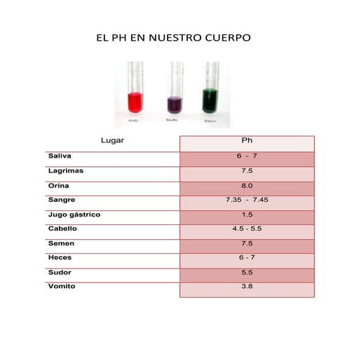 El ph en nuestro cuerpo