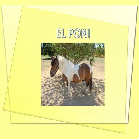 El poni