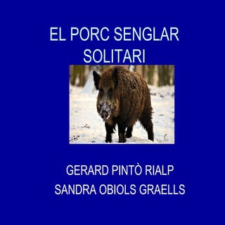 El porc senglar solitari