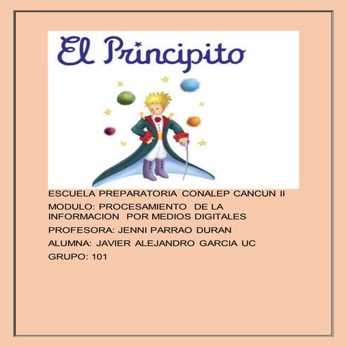 El principito los argumentos