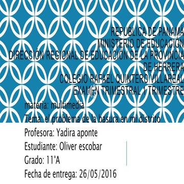 El problema de la basura en mi distrito