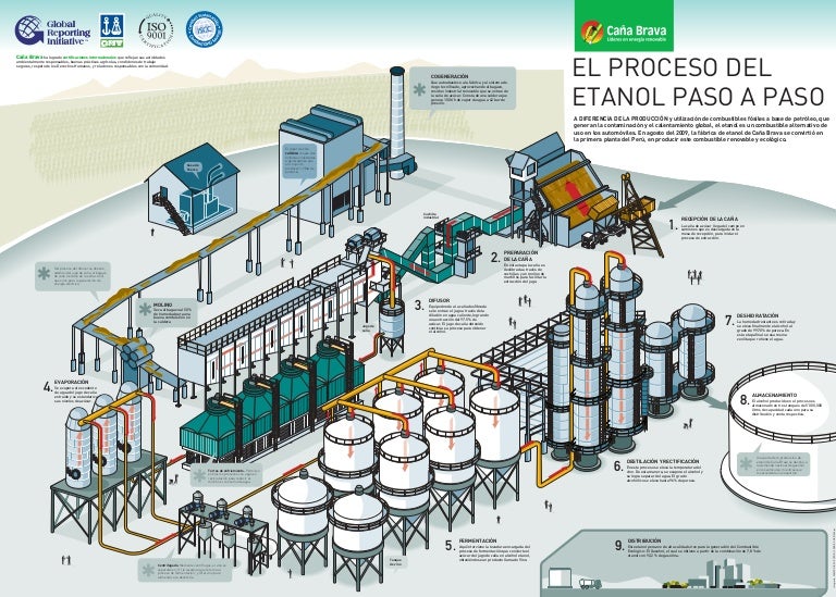El proceso del etanol paso a paso Infografía 2011