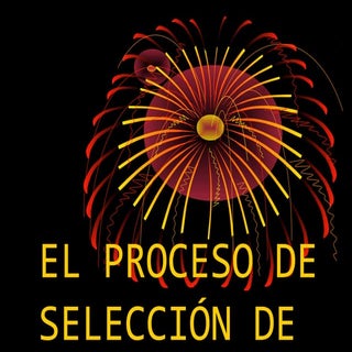 El proceso de selección de personal...