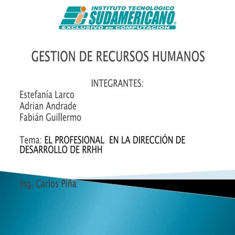 El Profesional En La DireccióN De Desarrollo De Rrhh Diapositivas