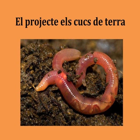 El projecte els cucs de terra