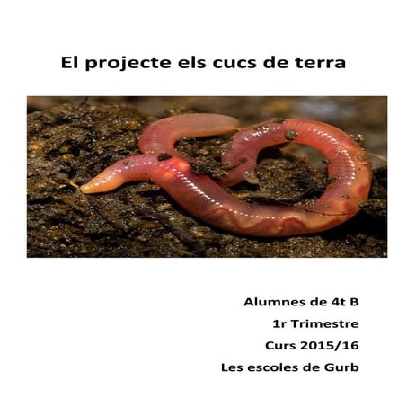 El projecte els cucs de terra